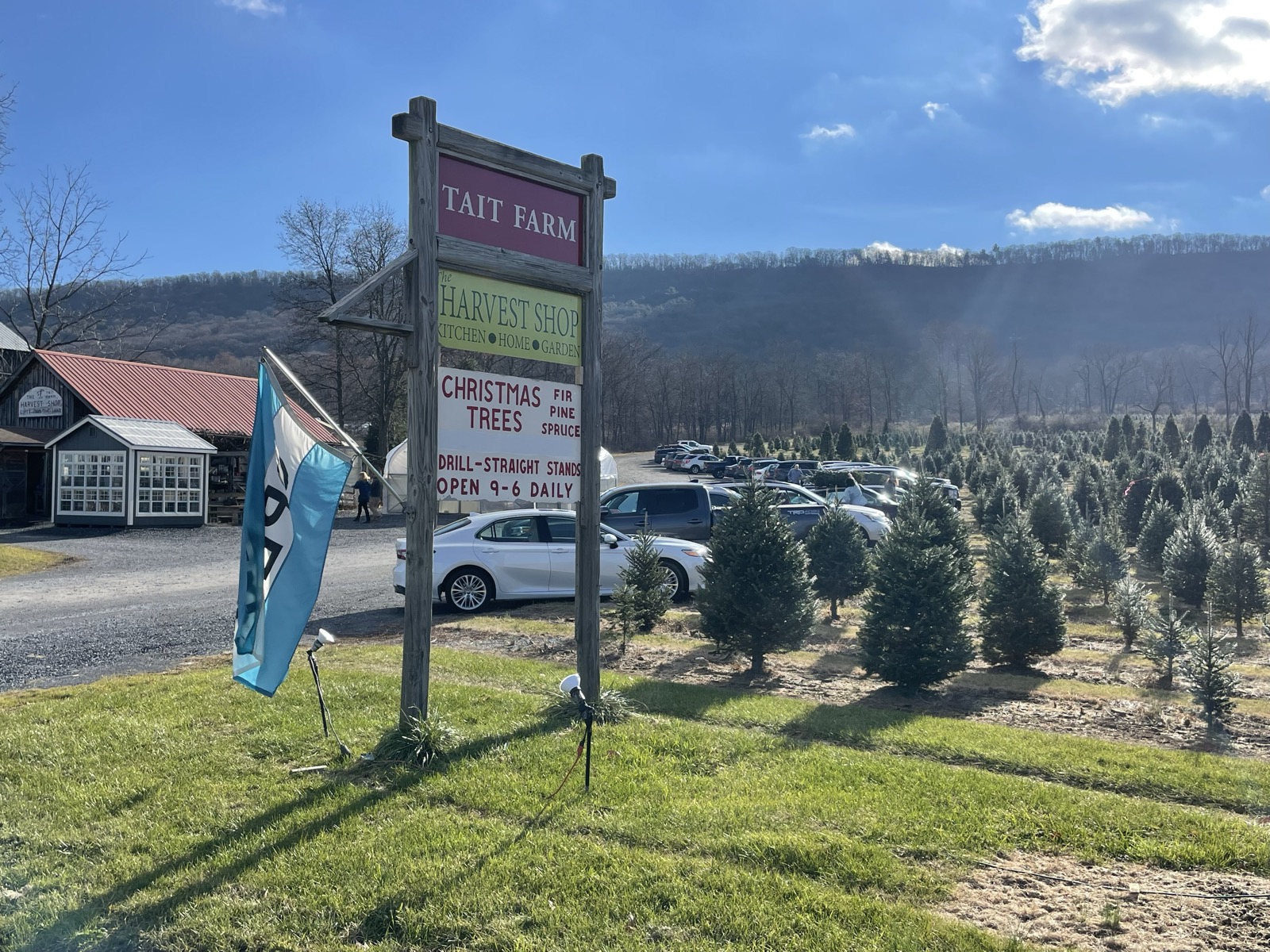 Tait Farm sign with Christmas tree fields