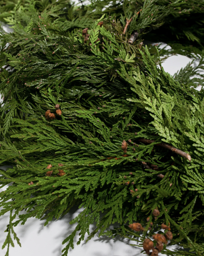 Incense cedar garland