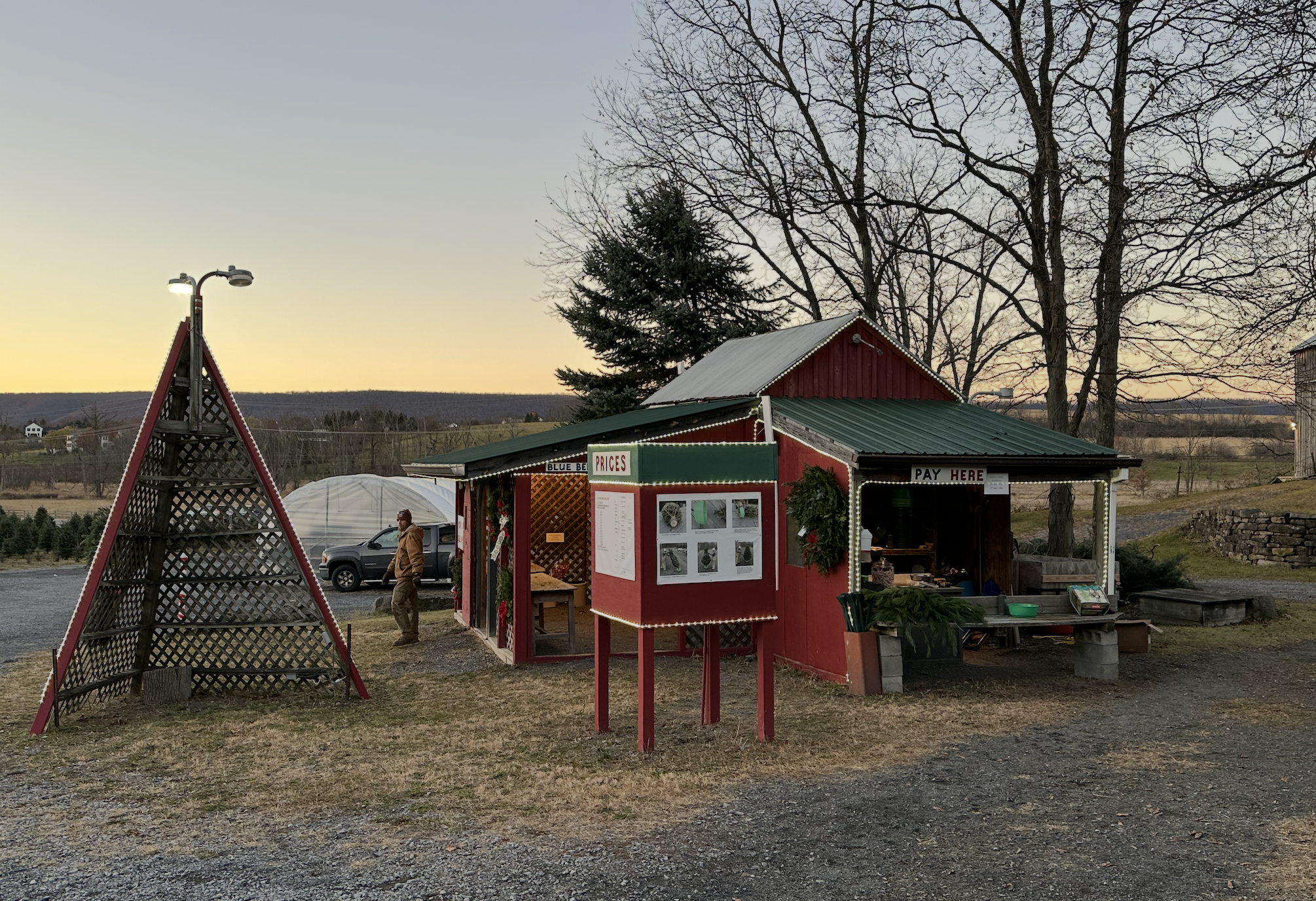 The Treehouse shop at Tait Farm